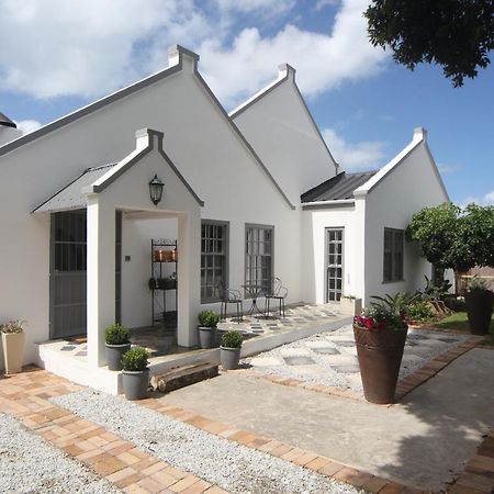 The Lily House Hotel Hermanus Exterior photo